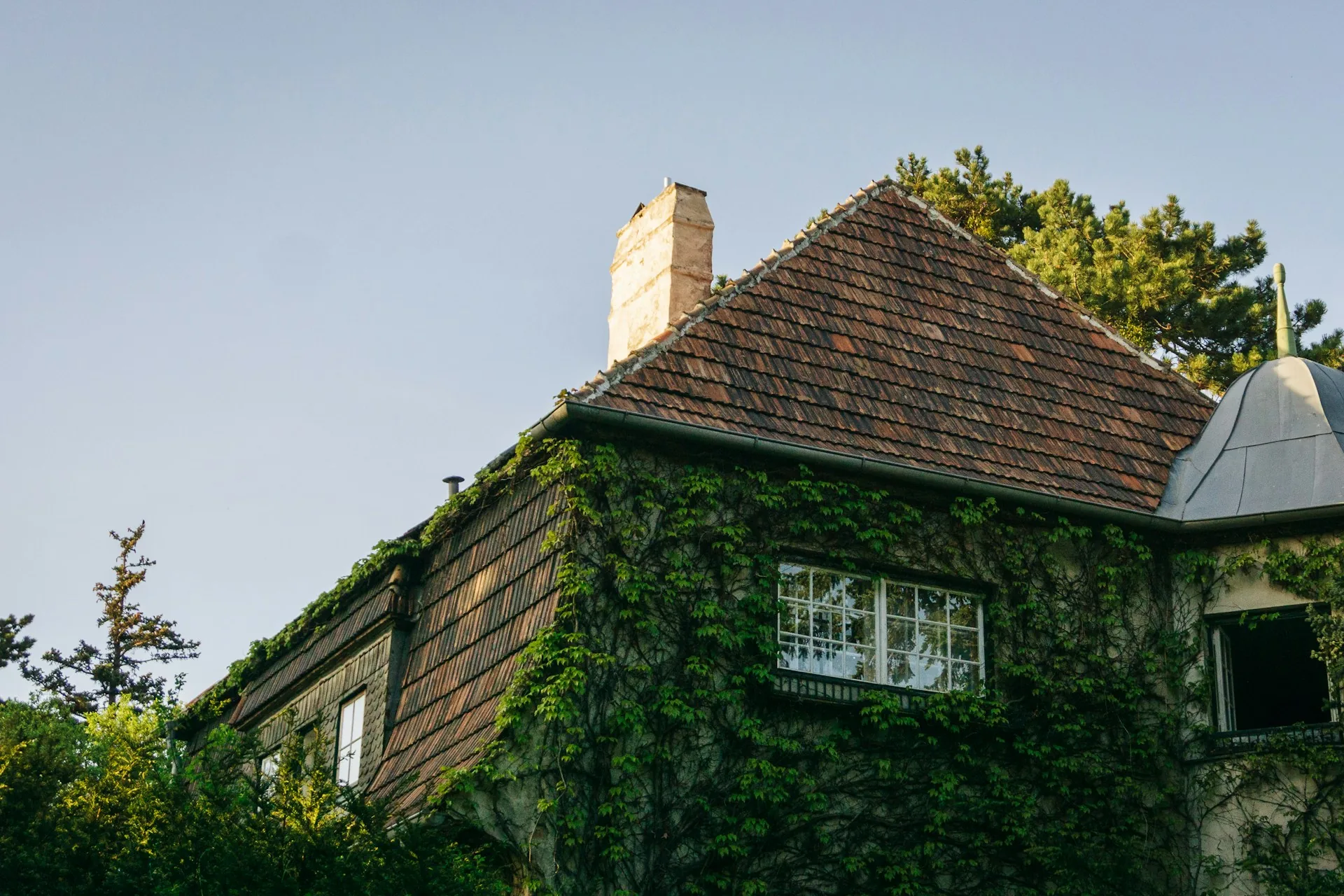 Why January Moss is More Than an Eyesore